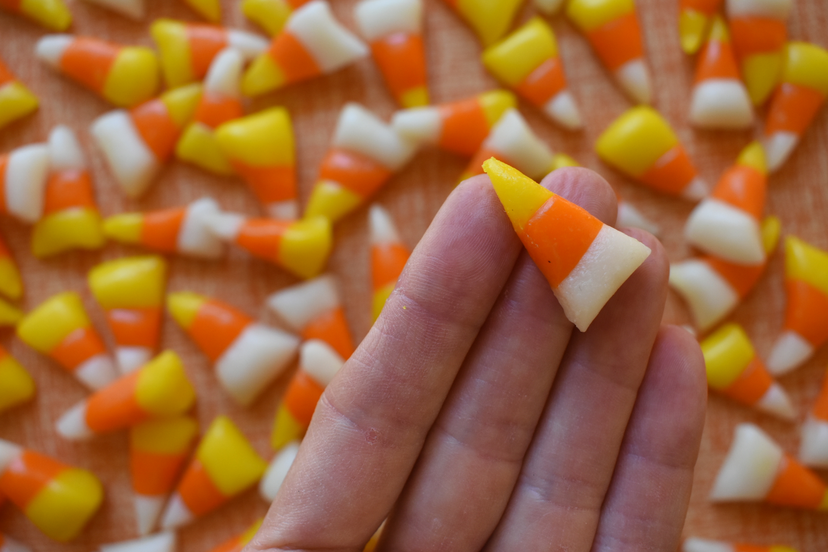homemade-candy-corn-for-national-candy-corn-day-baste-cut-fold