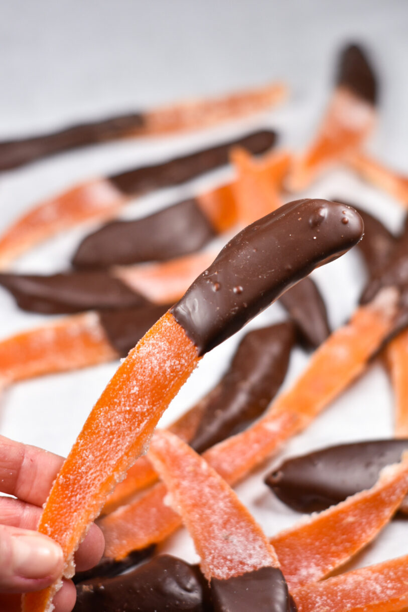 Hand holding candied grapefruit peel dipped in chocolate