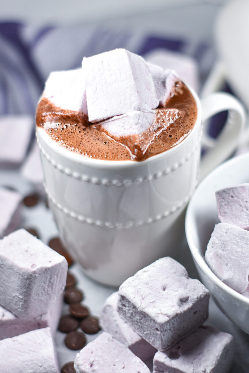 Boozy hot chocolate with marshmallows on top, in a white mug