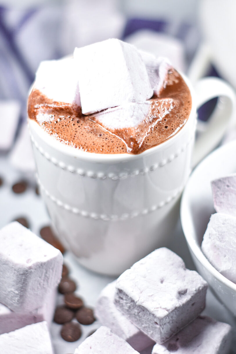 Red wine hot chocolate in a white mug