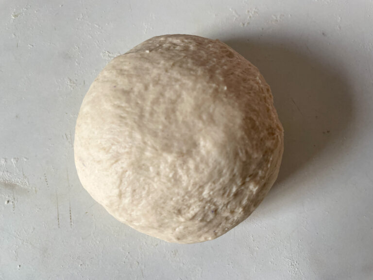 Ball of pizza dough