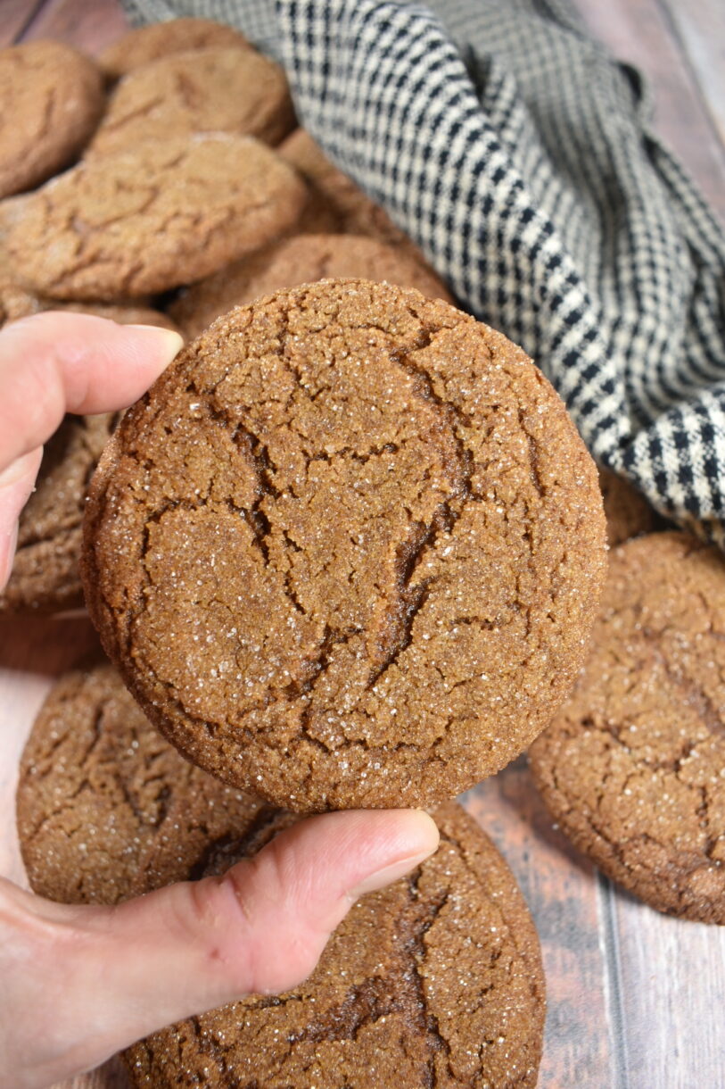 Hand holding a homemade gingersnap cookie