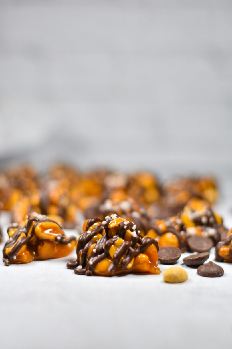 Chocolate covered peanuts on a white background