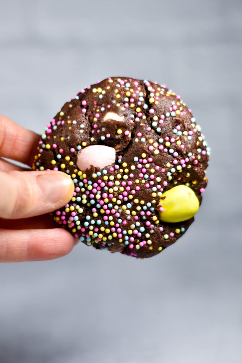 Hand holding a chocolate cookie covered in pastel nonpareil sprinkles