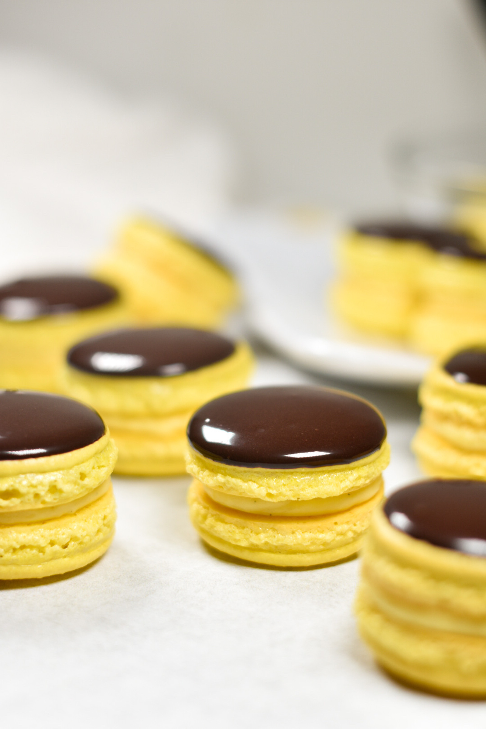 Boston Cream Pie Macaron