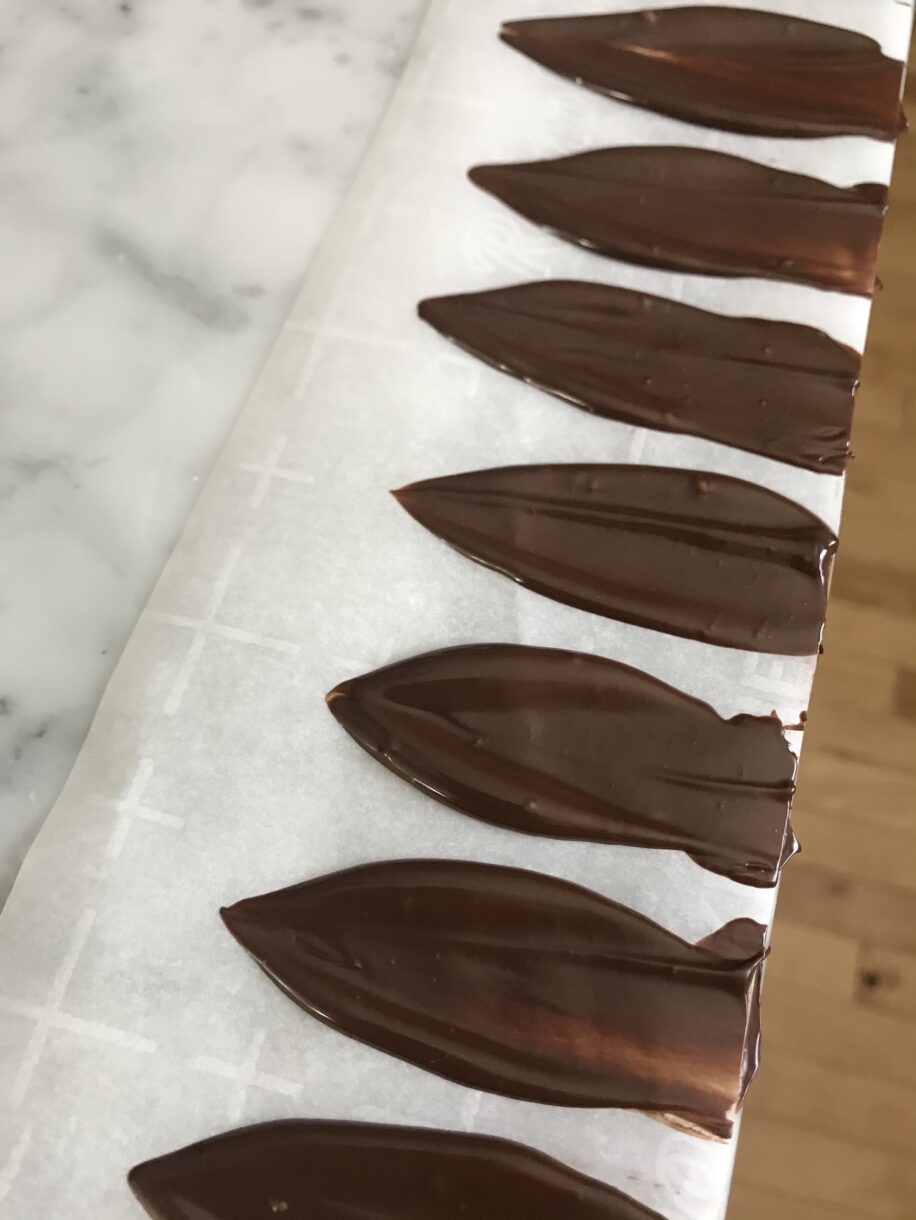 Chocolate feathers on a sheet of parchment