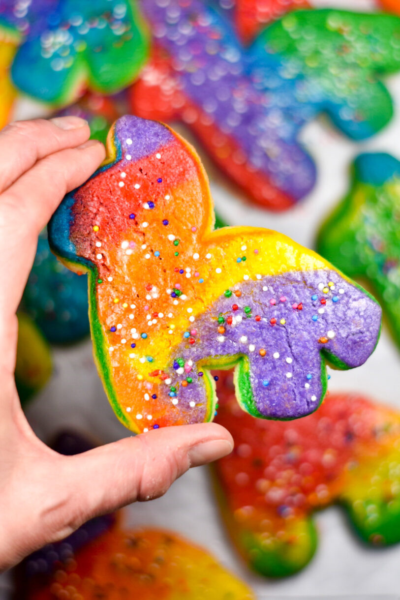 Hand holding a rainbow donkey cookie