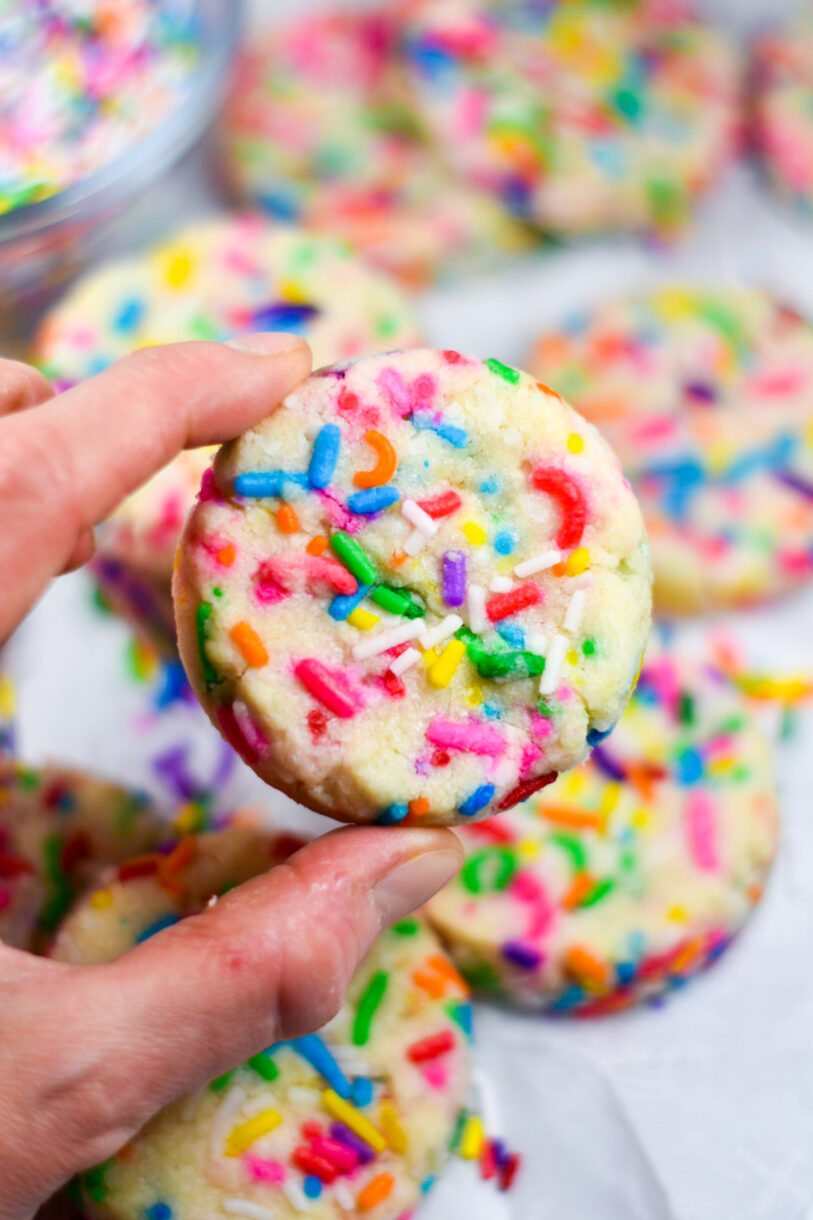Hand holding a funfetti shortbread cookie