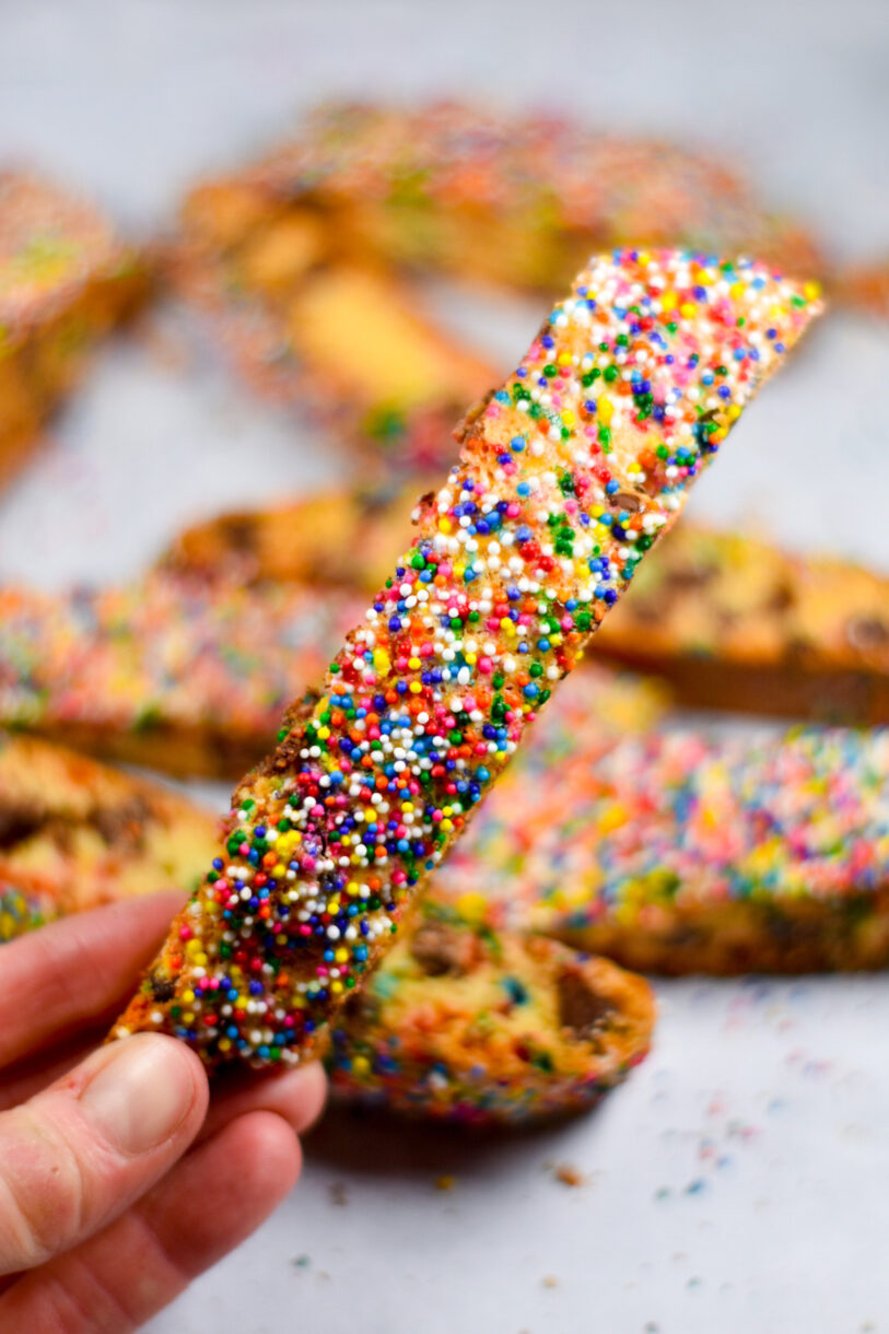 A slice of biscotti covered in rainbow nonpareil sprinkles