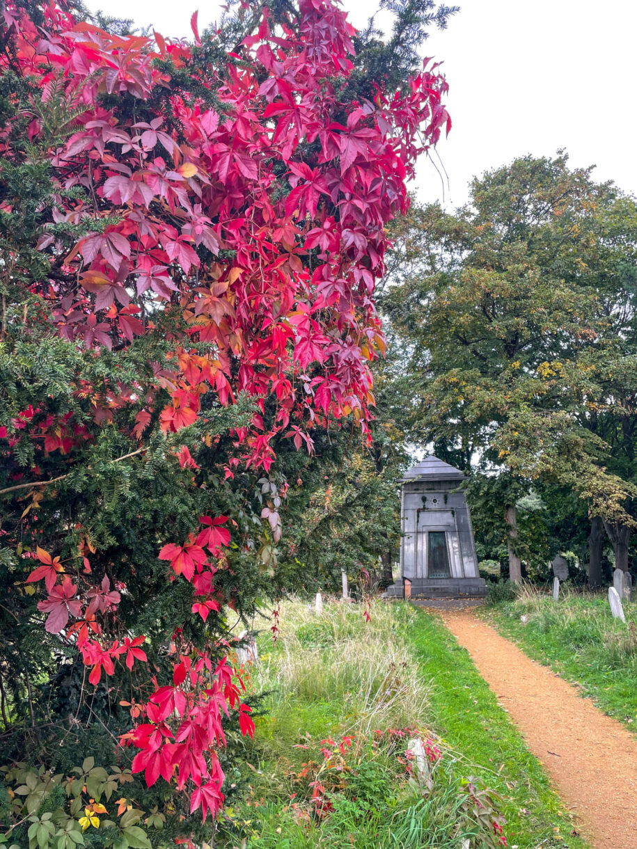 Red leaves in Brompton Cemetery, London