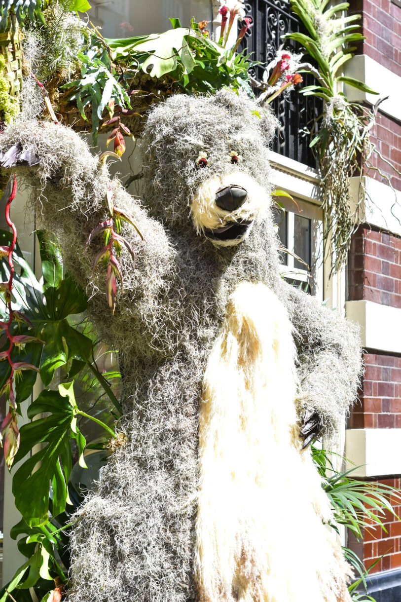 A giant grey bear made out of plants and flowers