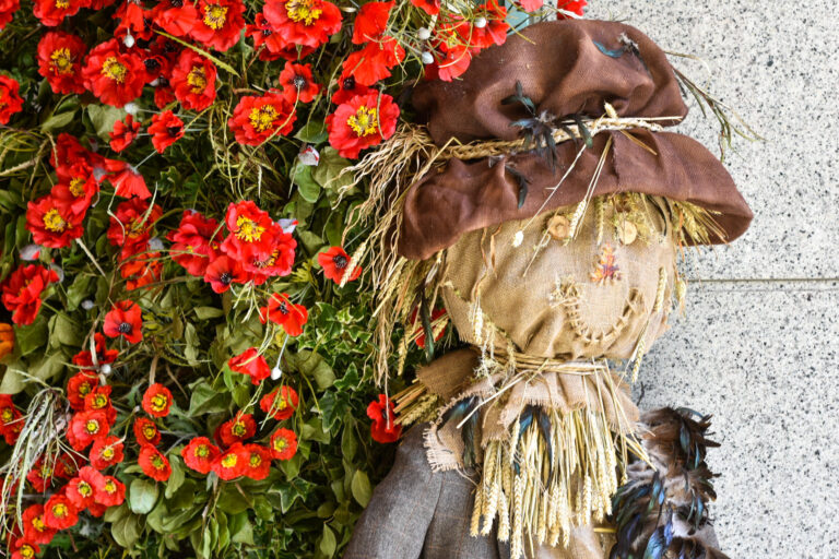 A scarecrow made from flowers, and red poppies