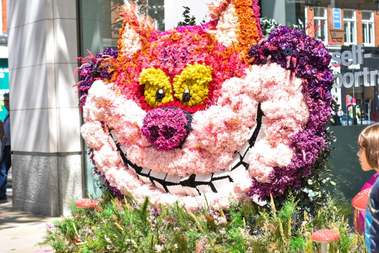 Cheshire cat made out of flowers