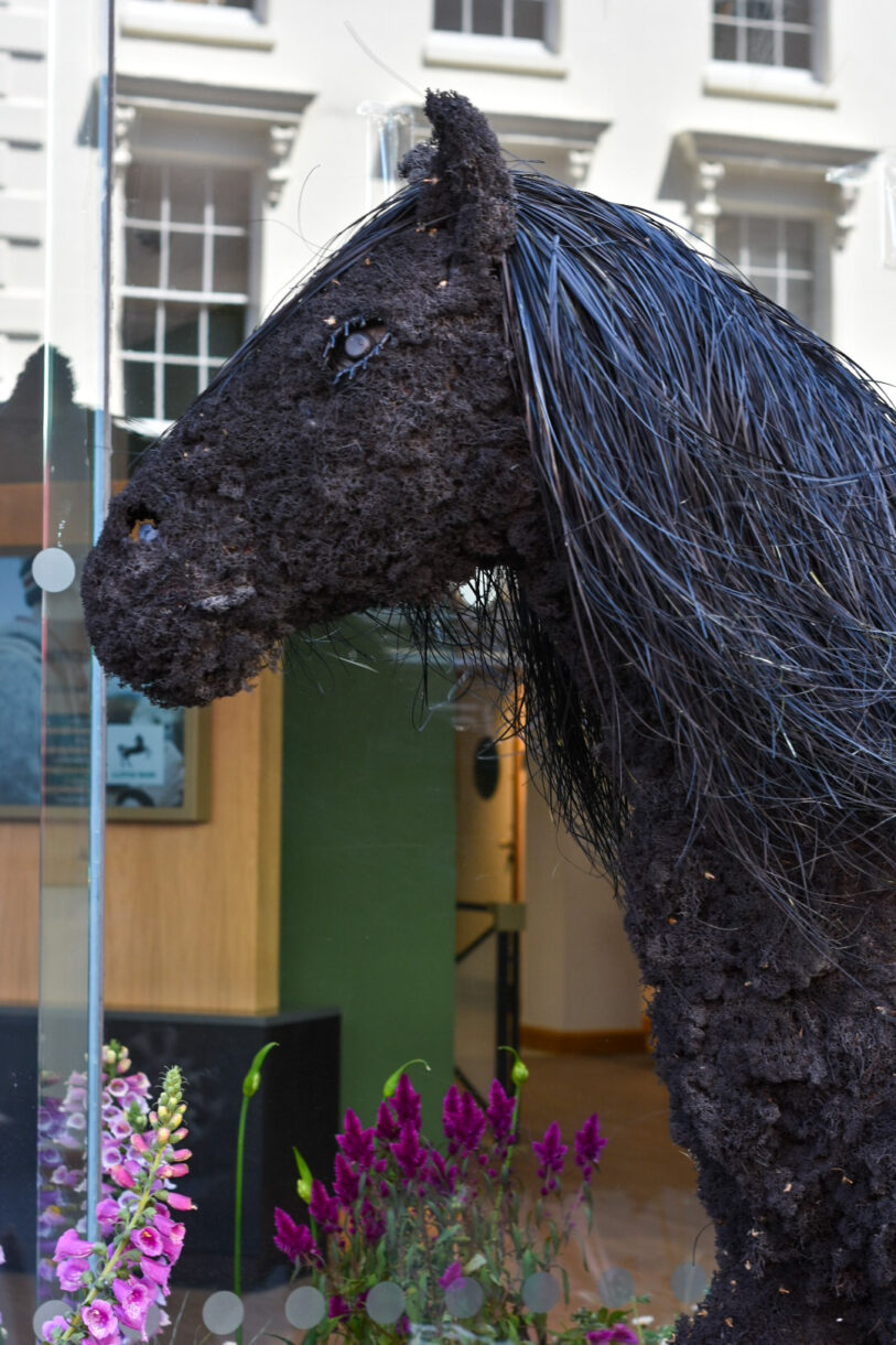 A black horse made out of flowers