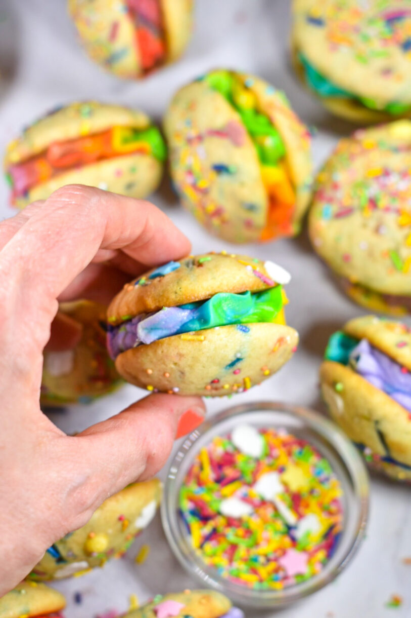 Hand holding a miniature rainbow whoopie pie