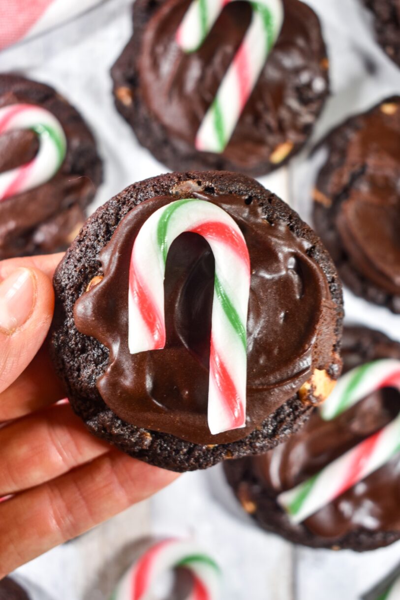 Hand holding a dark chocolate cookie with peppermint ganache and a miniature candy cane on top