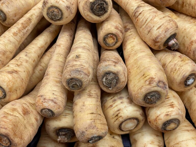 A pile of parsnips