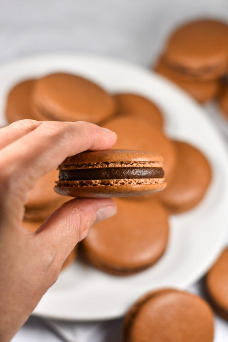 Hand holding a chocolate macaron