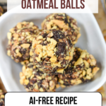 Chocolate Peanut Oatmeal Balls
