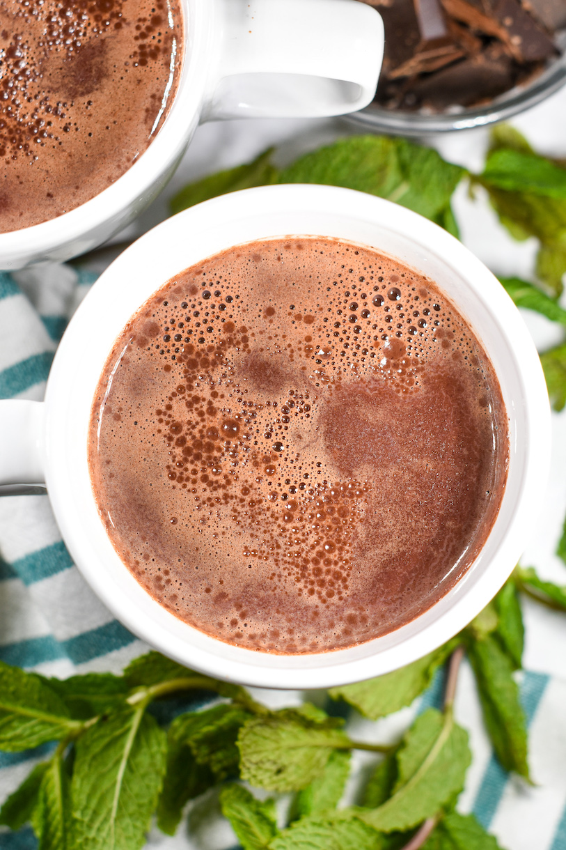 Homemade mint hot chocolate in a white mug