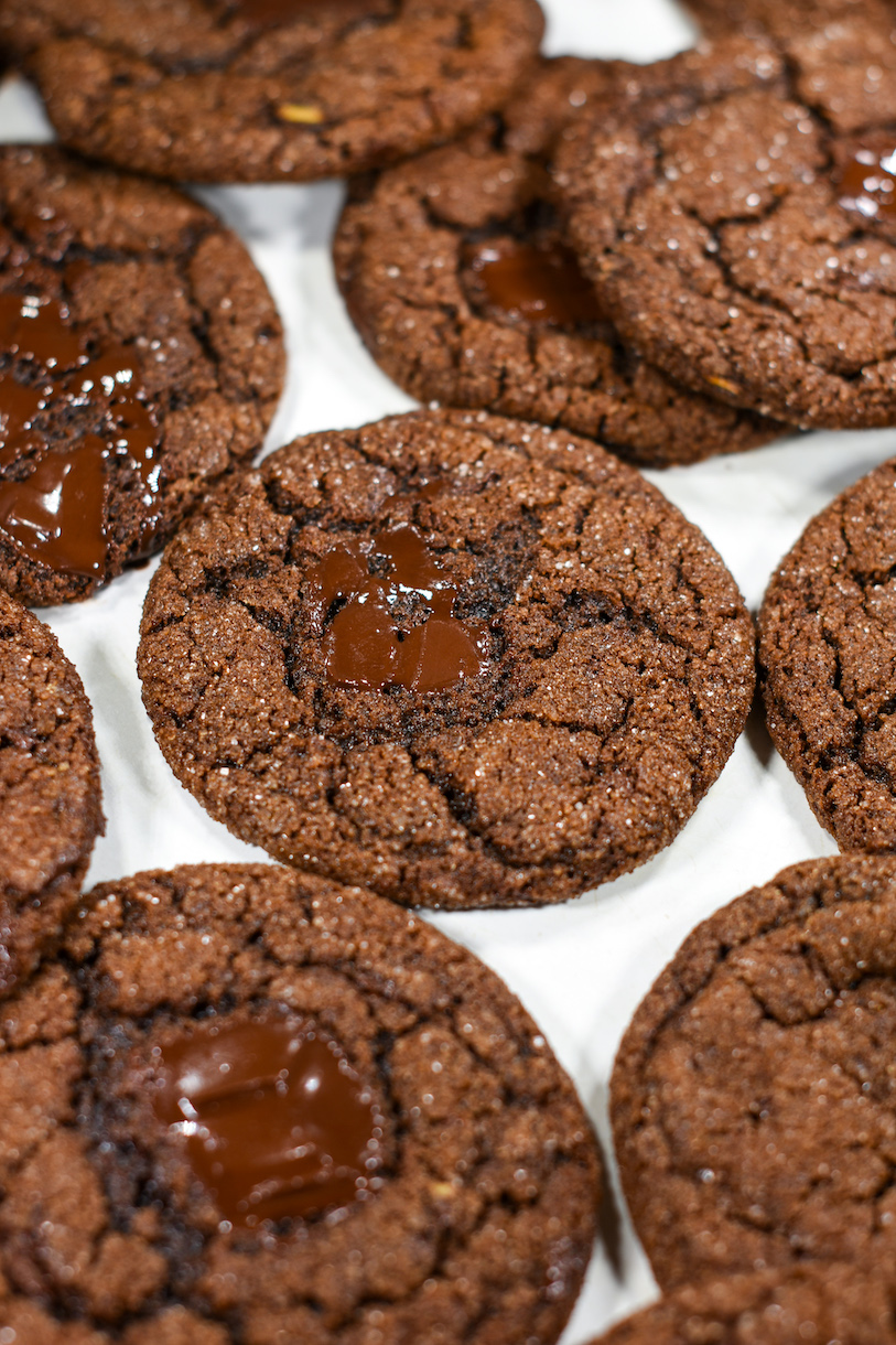 Chocolate molasses cookies arranged on a white surface