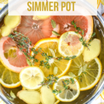 Citrus simmer pot recipe