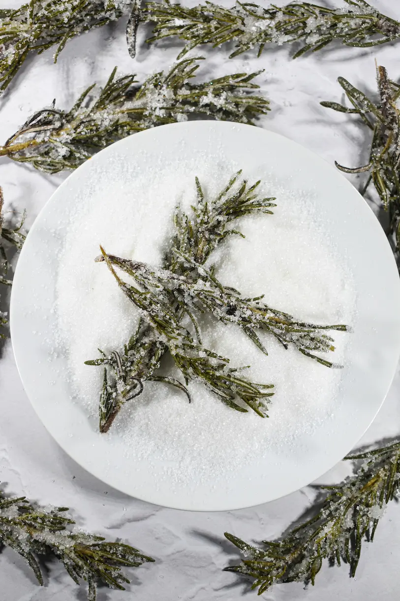 Sugared rosemary on a white plate surrounded by sprigs of sugared rosemary