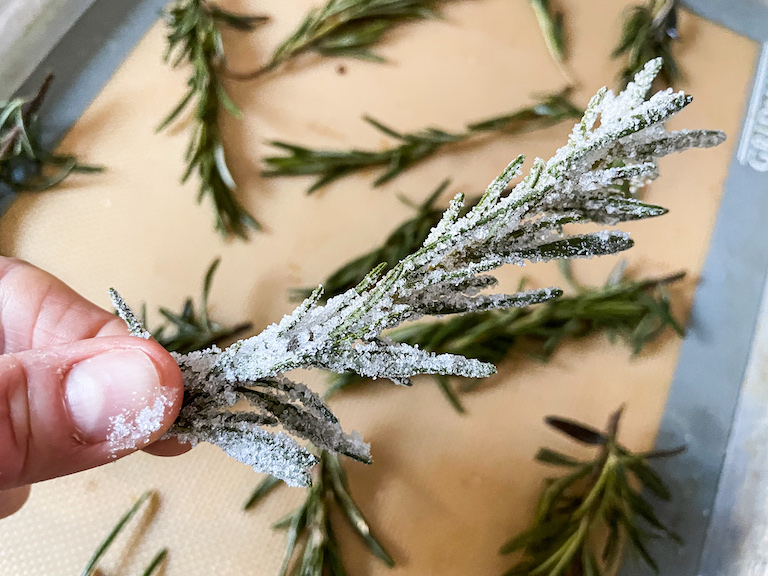 Sugared rosemary