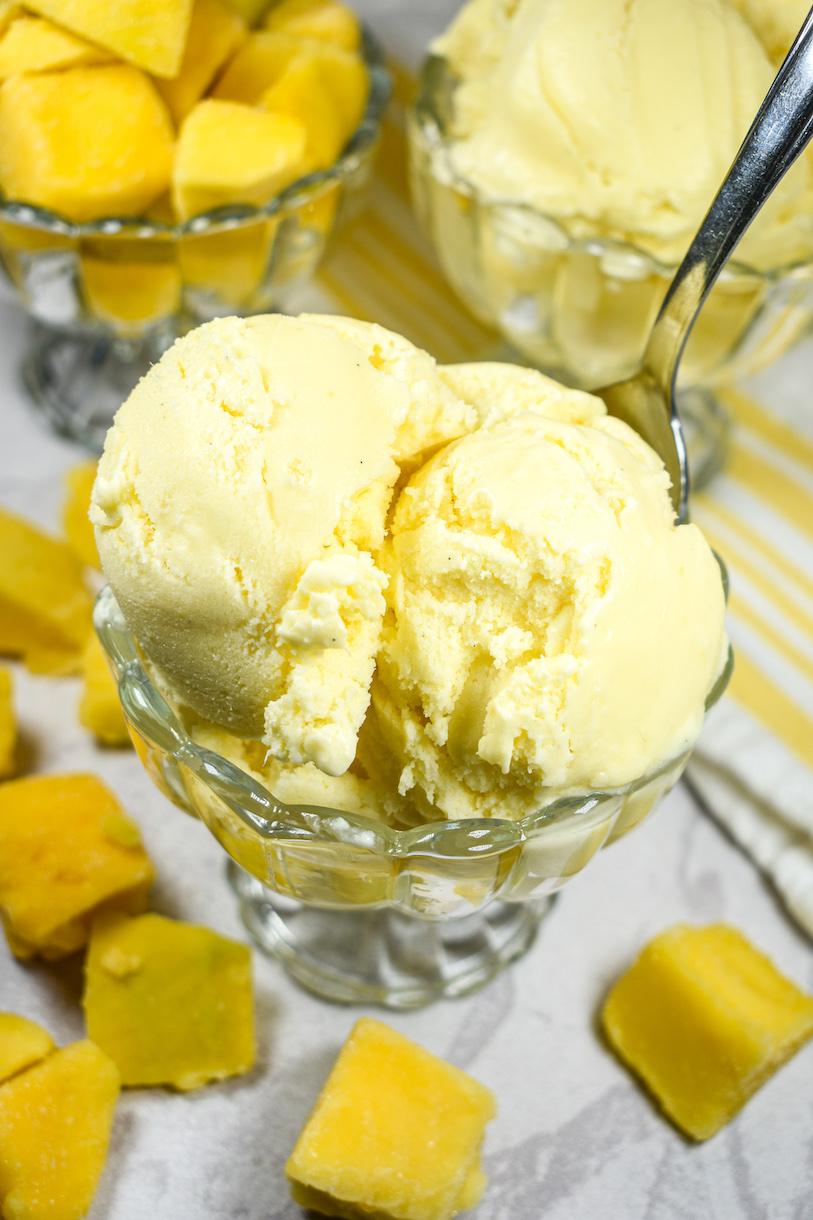 A dish of mango ice cream surrounded by chunks of fresh mango