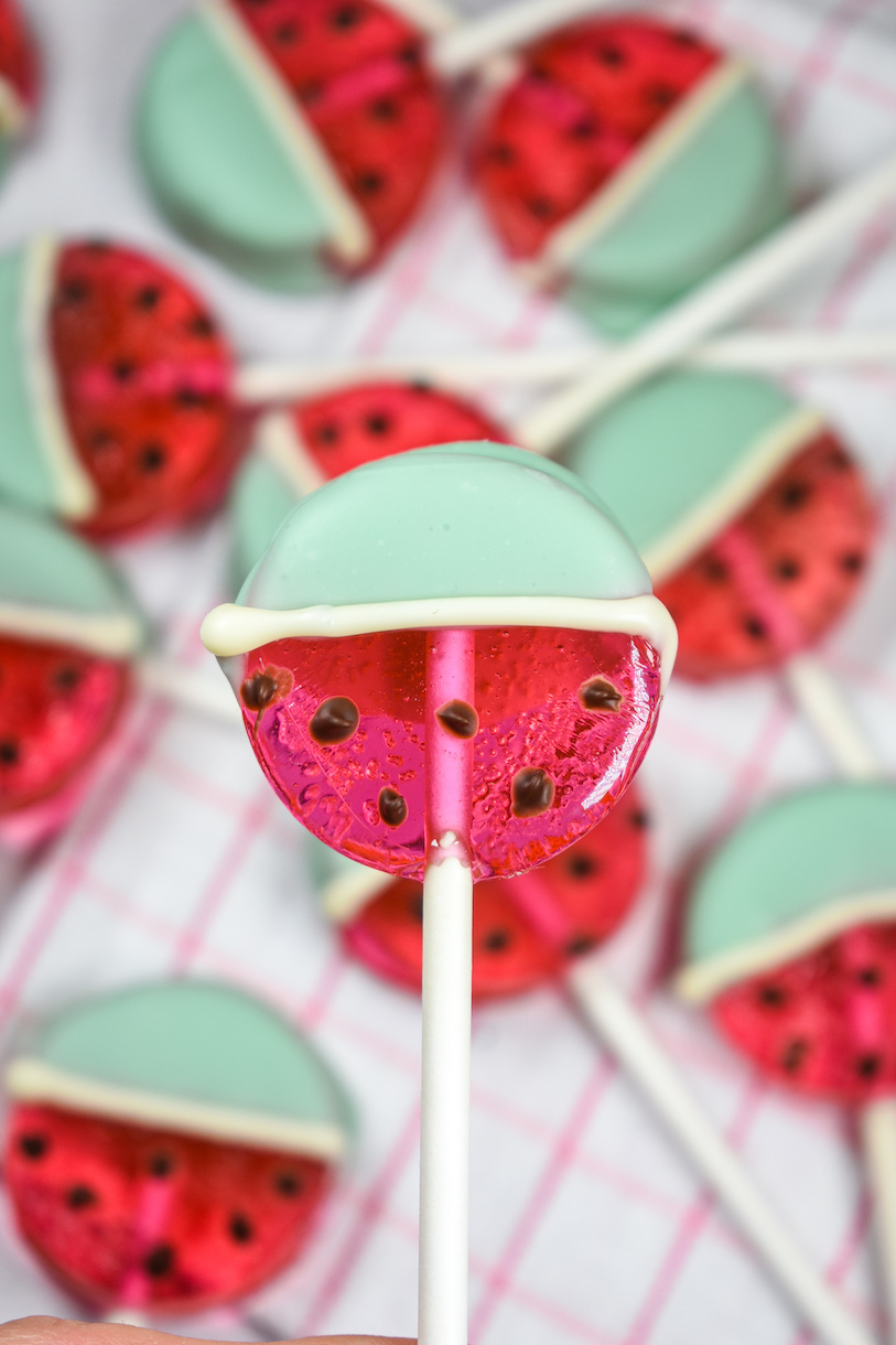 Hand holding a watermelon lollipop