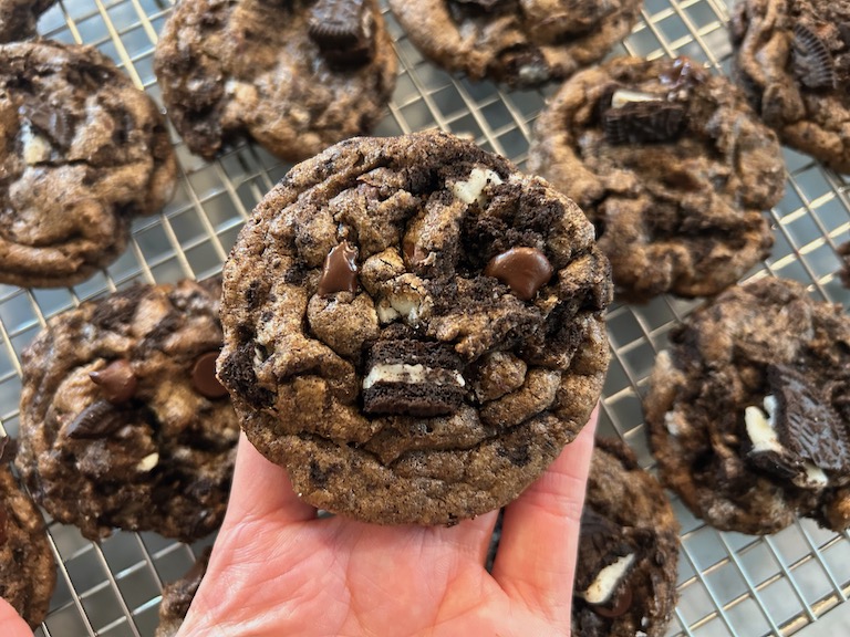 Hand holding a chocolate cookie