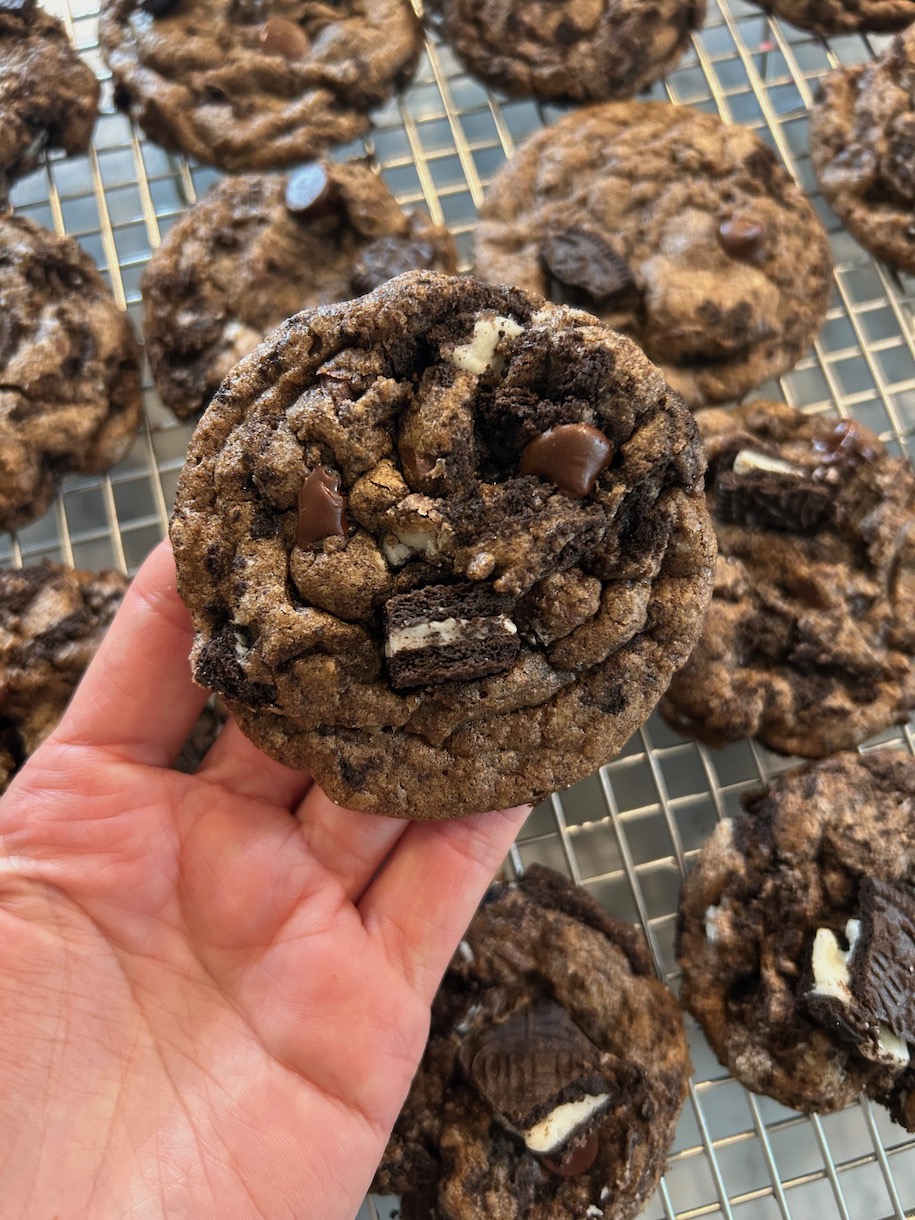 Hand holding a round chocolate cookie