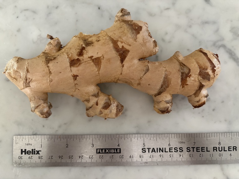 a piece of ginger root with a ruler