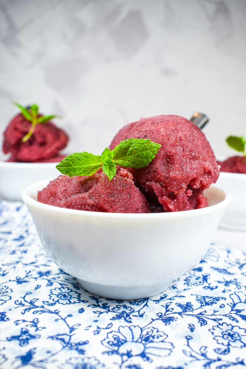 A dish of blueberry sorbet