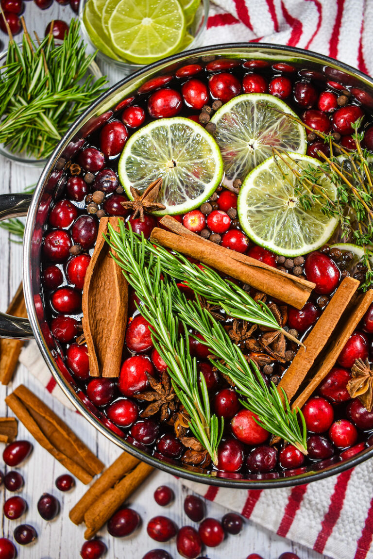 Cranberry Simmer Pot