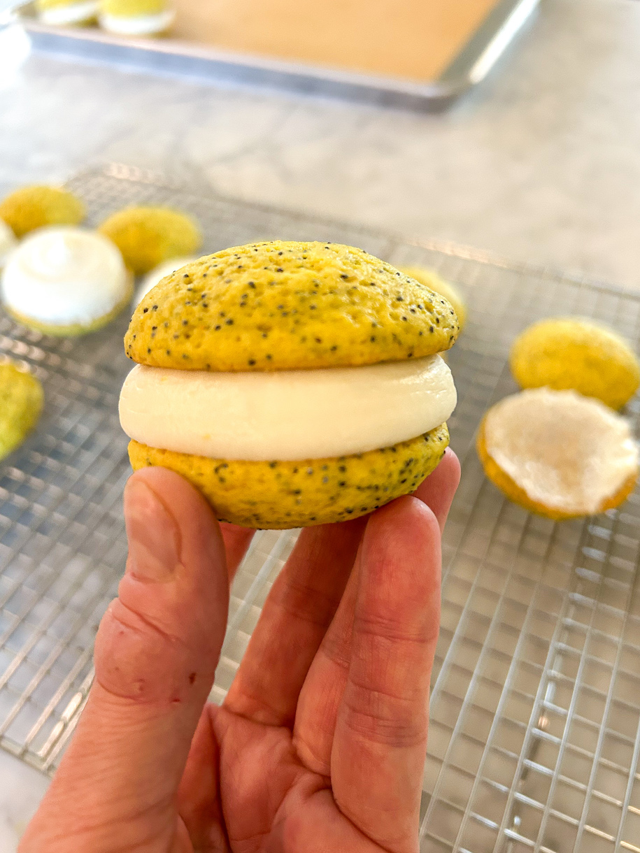 Hand holding a mini lemon poppy seed whoopie pie