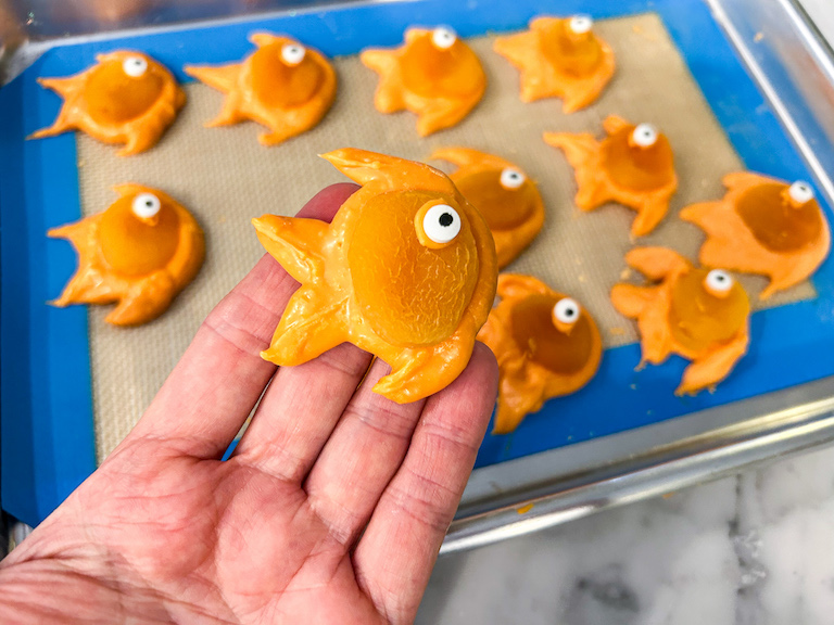 Hand holding a chocolate apricot goldfish