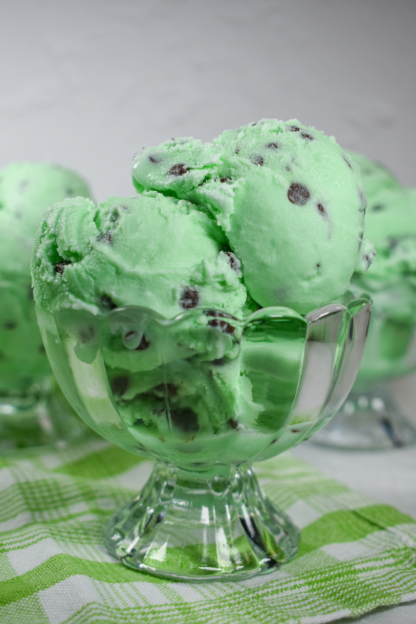 Horizontal shot of a dish of mint chocolate chip ice cream