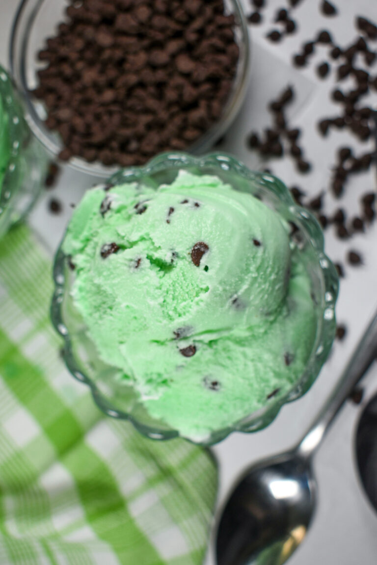 a dish of homemade mint chocolate chip ice cream