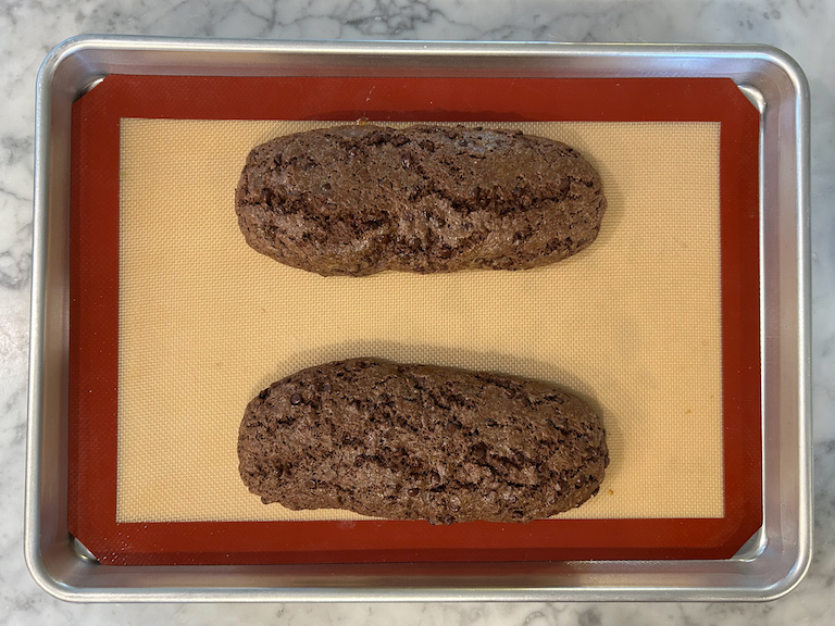 Two chocolate biscotti logs on a tray