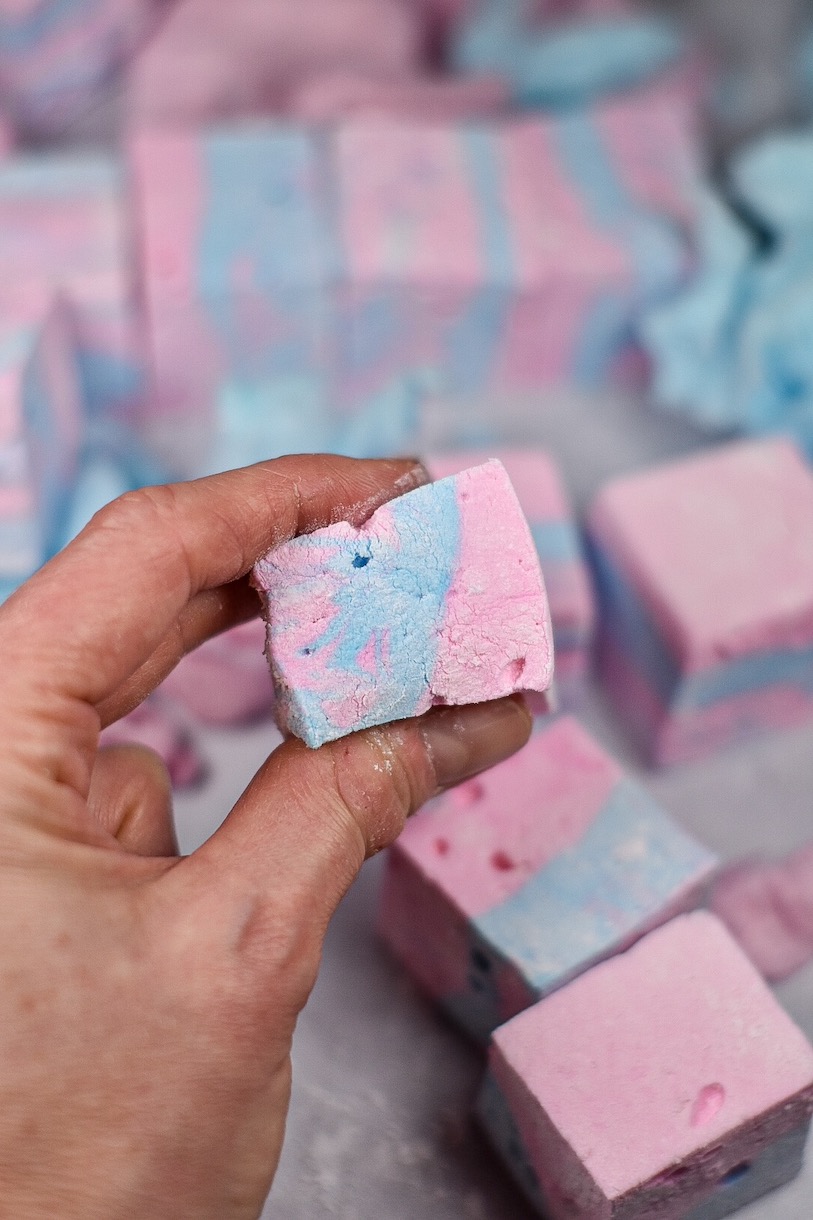 Hand holding a pastel pink and blue cotton candy flavored marshmallow