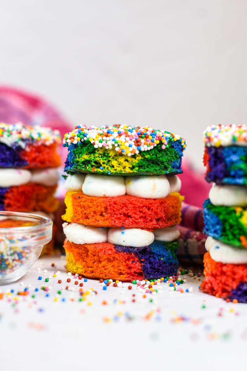 Miniature rainbow layer dot cake on a white surfce