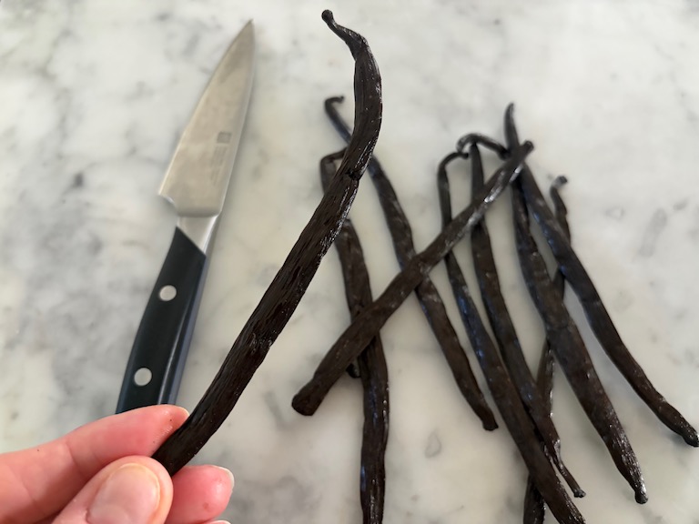hand holding a vanilla bean