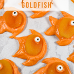 Apricot chocolate goldfish recipe