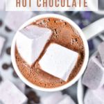 Red Wine Hot Chocolate Recipe