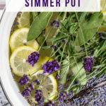 Lavender Simmer Pot Recipe