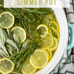 Mediterranean Herb Garden Simmer Pot
