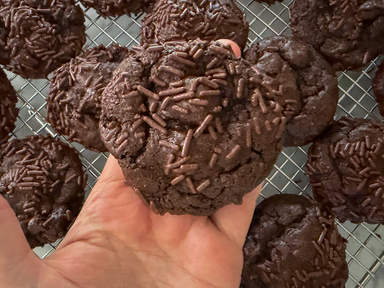hand holding a chocolate cookie