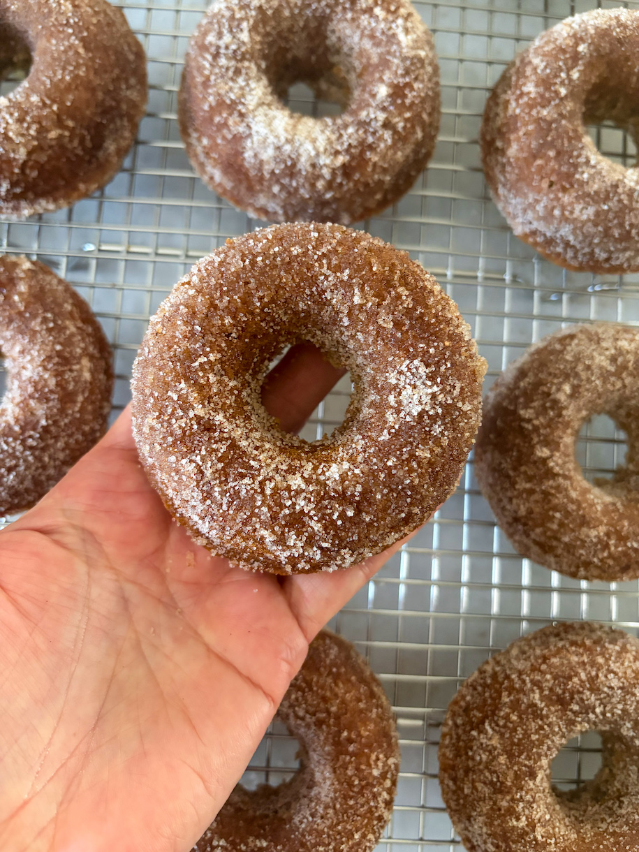 hand holding a cinnamon sugar donut